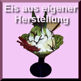 Eis aus eigener Herstellung